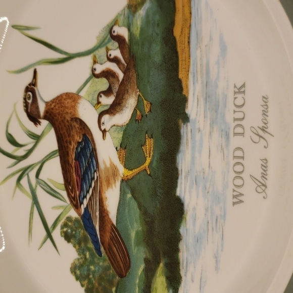 Vintage Portmeirion Wood Duck Anas Sponsa Decorative Plate Dish 10.5"Di… - Picture 2 of 7